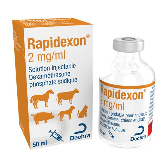 Rapidexon® 2mg/ml Solution for Injection